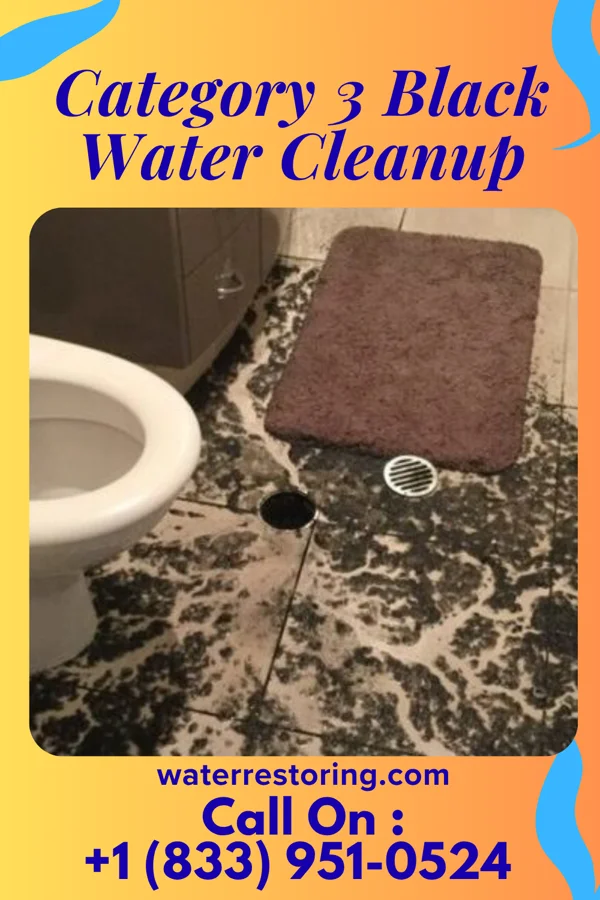 Category 3 Black Water Cleanup in Knierim, IA
